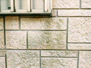 外壁にコケが生えてしまう原因とは？対処法も紹介します。｜福岡市南区　想いを形に工房　想いを形に外壁塗装
