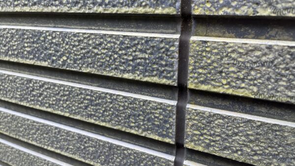 外壁カビ防止｜発生原因から対策まで！プロが教える外壁を守る方法　｜福岡市南区　想いを形に工房　想いを形に外壁塗装